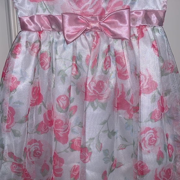 Nannette Baby,6-9m,Perfectly Pretty in Pink,Printed Shades of Pink Roses onTulle - Picture 3 of 9